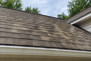 Surface Stains and Discoloration